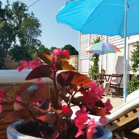 Vila Luna Villa Marčana